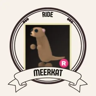 R MEERKAT
