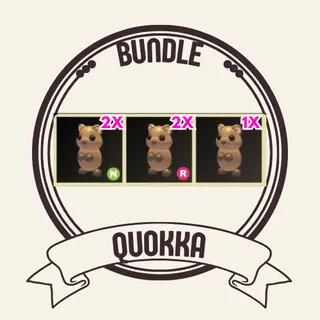 5x quokka