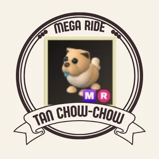 MR TAN CHOW-CHOW 
