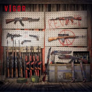 Vigor - Doomsday Survival Stash