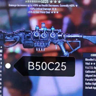Weapon | B50c25lvc enclave rifle