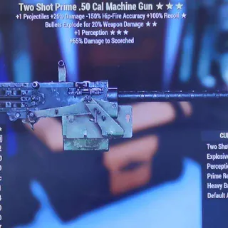 Weapon | TSE.50Cal machine gun