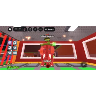  OG STRAWBERRY ELEPHANT 10.5b/s strawberry trait cheap rare