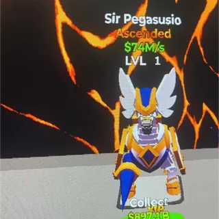 Sir Pegasusio