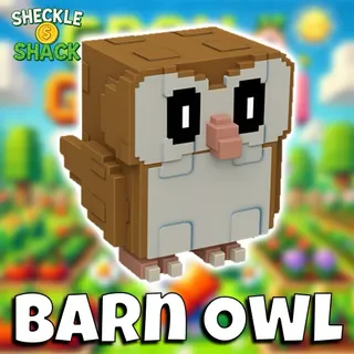 Barn owl x5