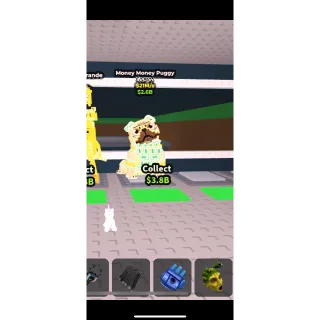 SAB MONEY MONEY PUGGY 21M/S