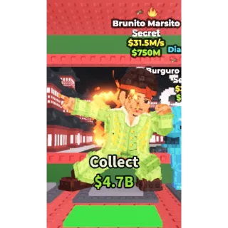 BRUNITO MARSITO 31.5M/S