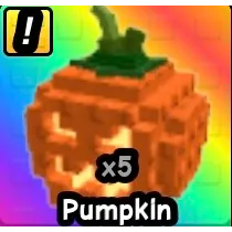 PUMPKIN X5 BUILD A ZOO