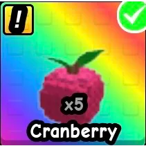 CRANBERRY X5 BUILD A ZOO