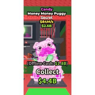 CANDY MONEY MONEY PUGGY 84M/S