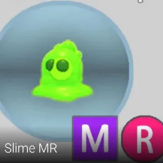 MR Slime
