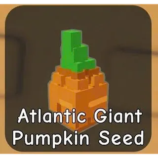 x70 Atlantic Giant Pumkin