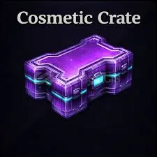 x500 Cosmetic Crate