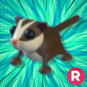 Sugar glider r