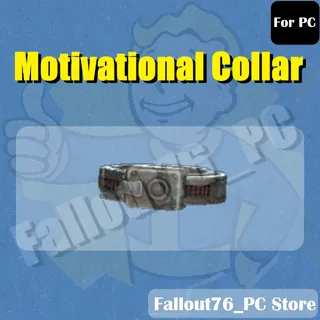Motivational Collar dev room