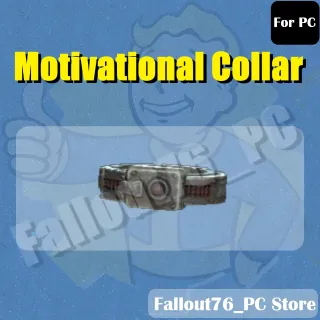 Motivational Collar