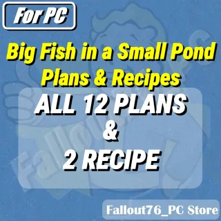 Big Fish in a Small Pond plans