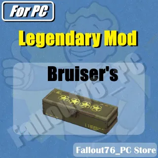 Bruiser's mod box