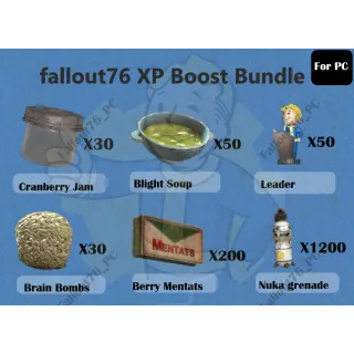 XP Boost Bundle (For PC)