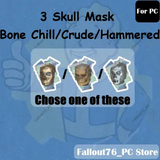 skull mask ( Bone Chill Skull Mask / Crude Skull Mask / Hammered Skull Mask ) (For PC)