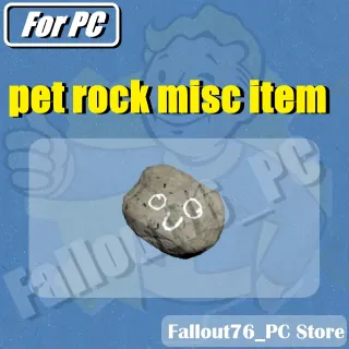 Pet rock misc item (For PC)