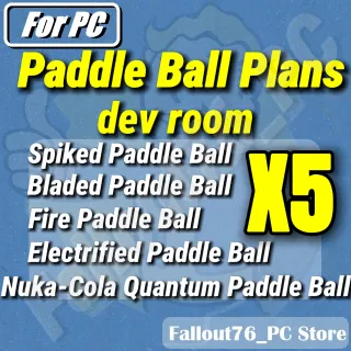 Paddle Ball Dev Plans