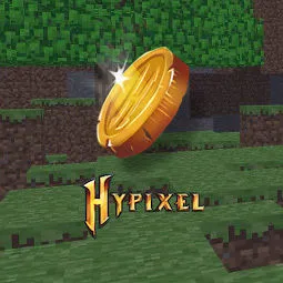 Hypixel Skyblock coins 50M