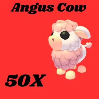 Angus cow 50x-Adopt me