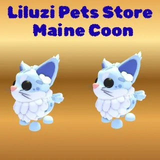 MAINE COON 2X -ADOPT ME 