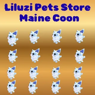 MAINE COON 16X -ADOPT ME 