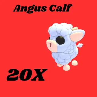 angus calf 20x-Adopt me
