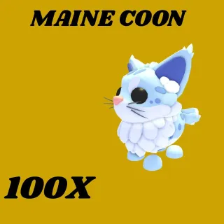 MAINE COON 100X -ADOPT ME 