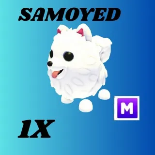 SAMOYED 1X  MEGA-ADOPT ME 