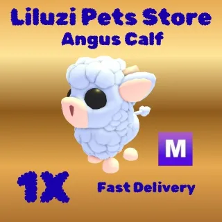 angus calf mega 1X -ADOPT ME 