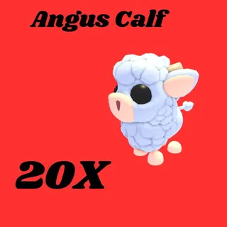 angus calf 20x-Adopt me
