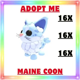 MAINE COON 16X -ADOPT ME 