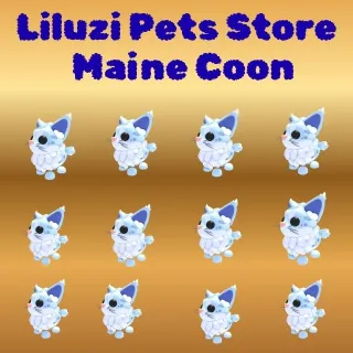 MAINE COON 12X -ADOPT ME 