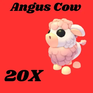 Angus cow 20x-Adopt me
