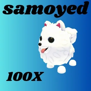 SAMOYED 100X  -ADOPT ME 