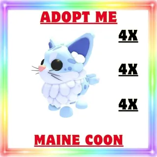 MAINE COON 4X -ADOPT ME 