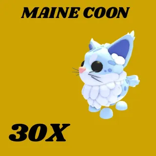 MAINE COON 30X -ADOPT ME 