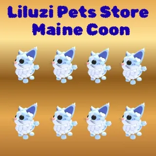 MAINE COON 8X -ADOPT ME 