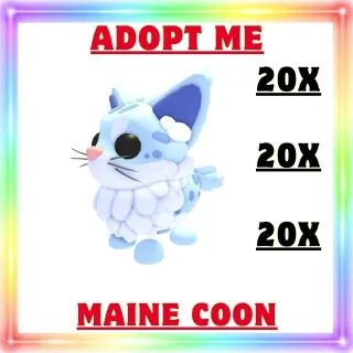 MAINE COON 20X -ADOPT ME 