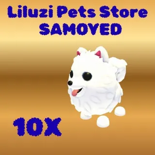 SAMOYED 10X -ADOPT ME 