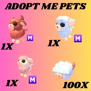 ANGUS BULL 1X MEGA AND ANGUS CALF MEGA AND ANGUS COW AND 100X ABERDEEN ANGUS BOX