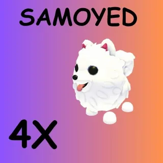 SAMOYED 4X- ADOPT ME 