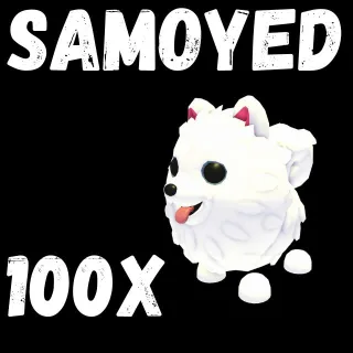 samoyed 100X - ADOPT ME 