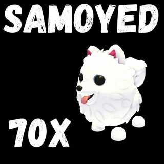 samoyed 70X - ADOPT ME 