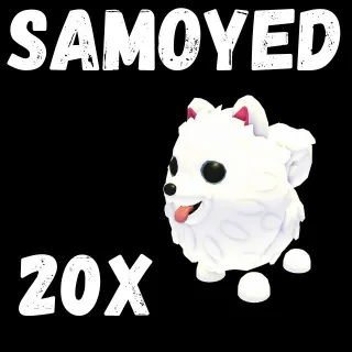 samoyed 20X - ADOPT ME 