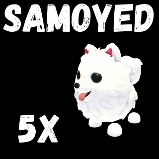 samoyed 5X mega- ADOPT ME 